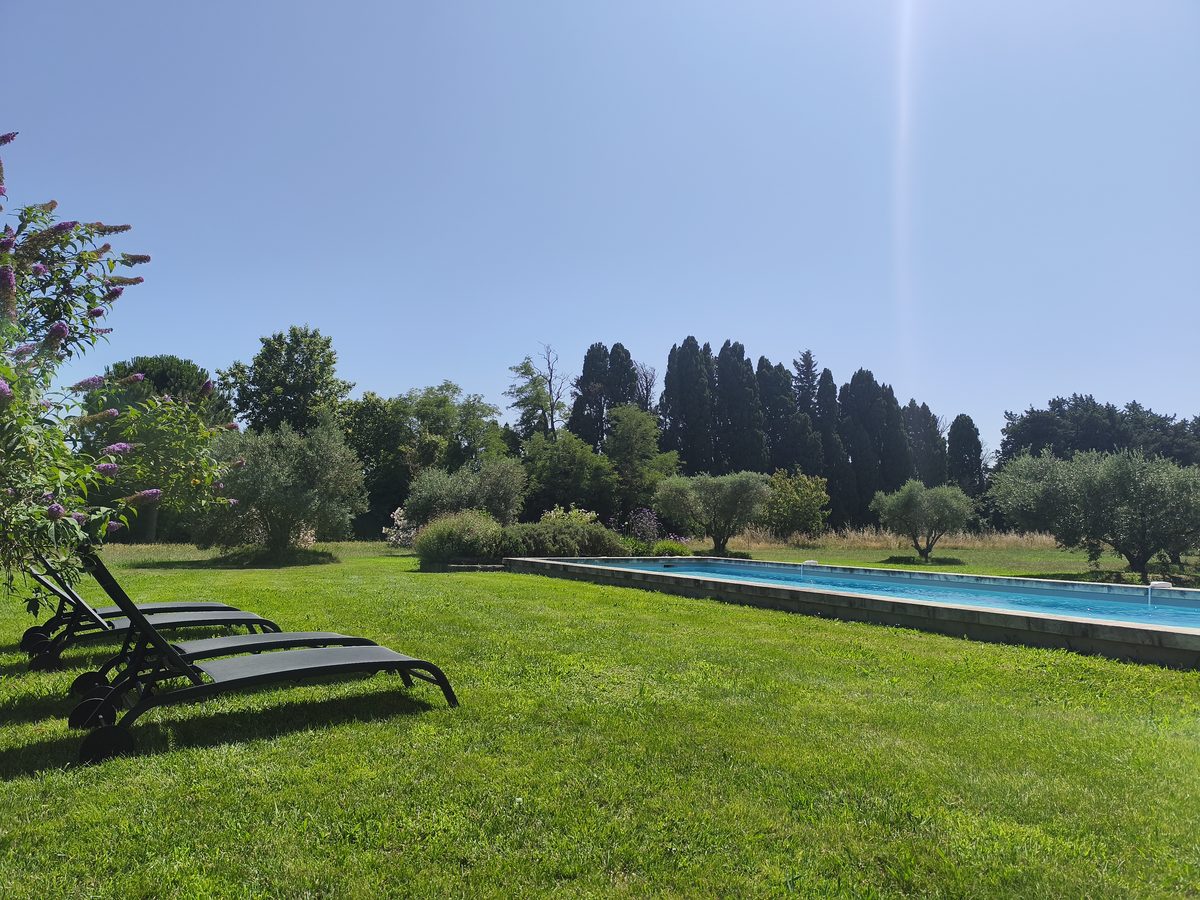 Piscine de 15 mètres et transats dans le parc arboré